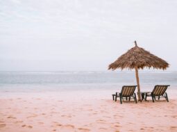 Dream Vacation